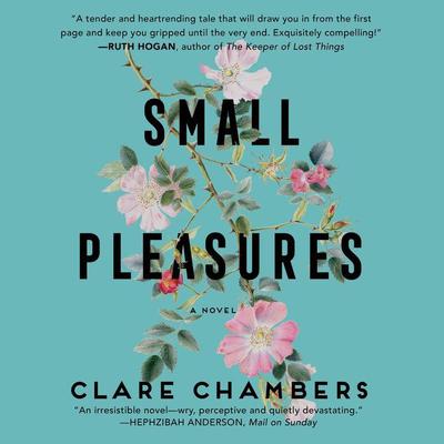 Small Pleasures by Clare Chambers audiobook
