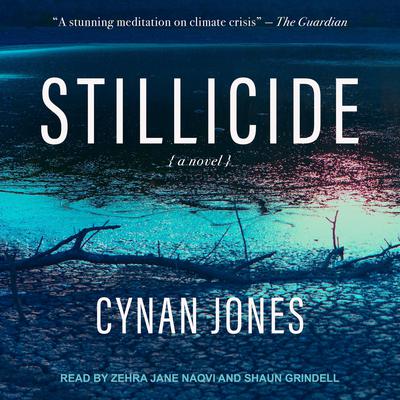 Stillicide by Cynan Jones audiobook