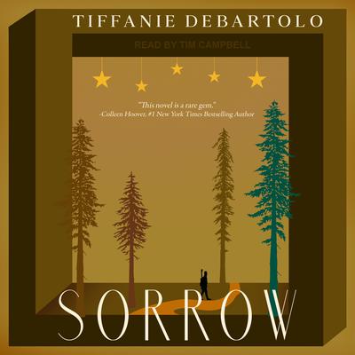 Sorrow by Tiffanie DeBartolo audiobook