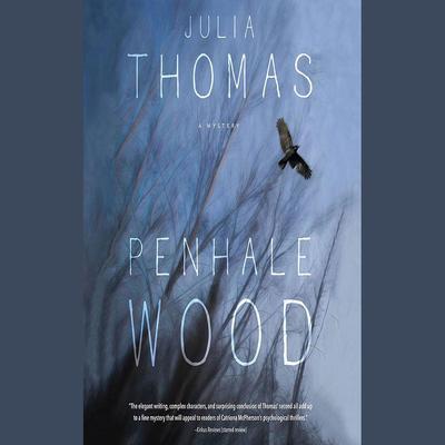 Penhale Wood by Julia Thomas audiobook