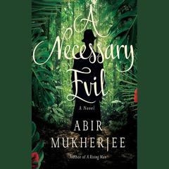 A Necessary Evil by Abir Mukherjee audiobook