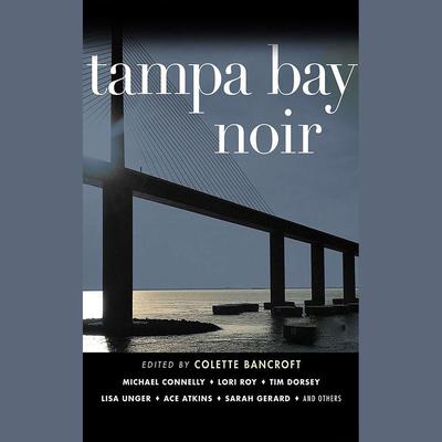 Tampa Bay Noir by Colette Bancroft  audiobook