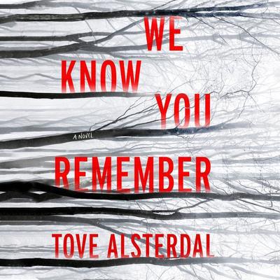 We Know You Remember by Tove Alsterdal audiobook