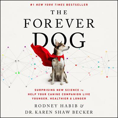 The Forever Dog by Rodney Habib audiobook