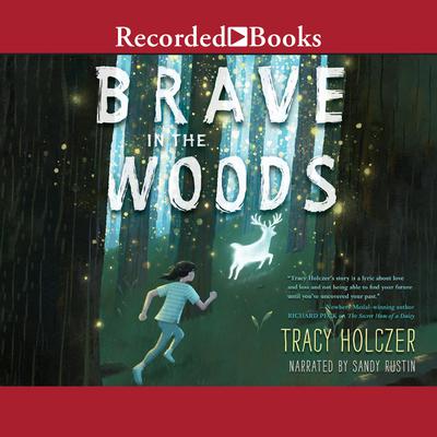 Brave in the Woods by Tracy Holczer audiobook
