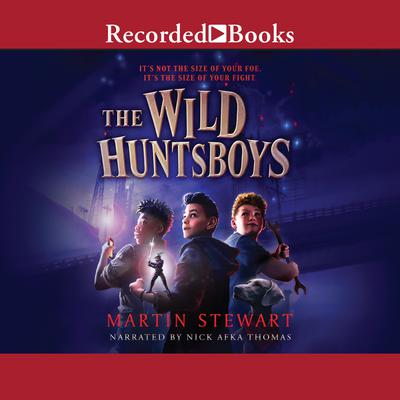 The Wild Huntsboys by Martin Stewart audiobook