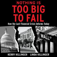 Nothing is Too Big to Fail by Kerry Killinger audiobook