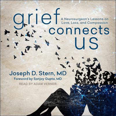 Grief Connects Us by Joseph D. Stern audiobook