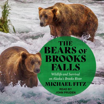 The Bears of Brooks Falls by Michael Fitz audiobook