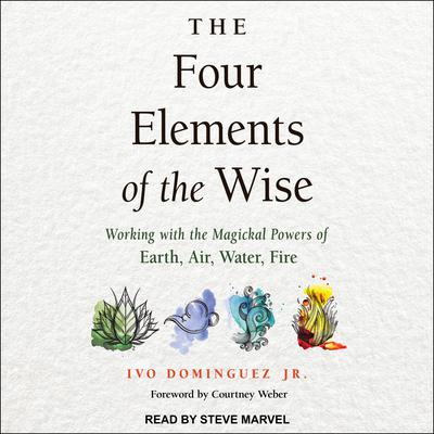 The Four Elements of the Wise by Ivo Dominquez audiobook