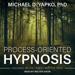 Process-Oriented Hypnosis by Michael D. Yapko audiobook