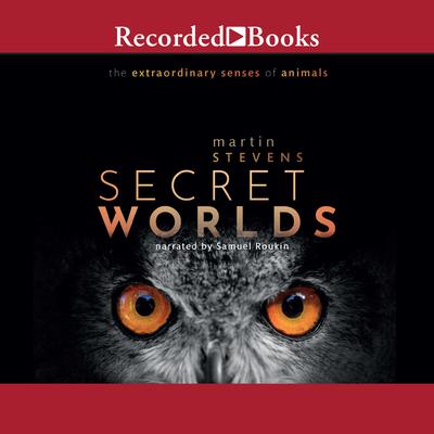 Secret Worlds by Martin Stevens audiobook