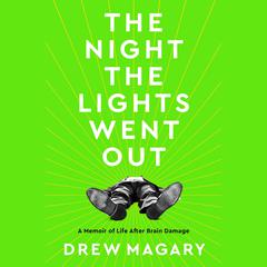 The Night the Lights Went Out by Drew Magary audiobook