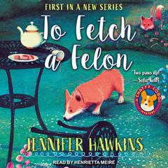 To Fetch a Felon by Jennifer Hawkins audiobook