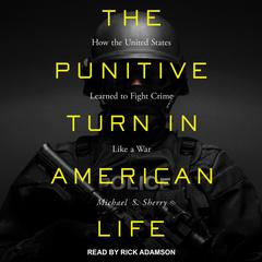 The Punitive Turn in American Life by Michael S. Sherry audiobook