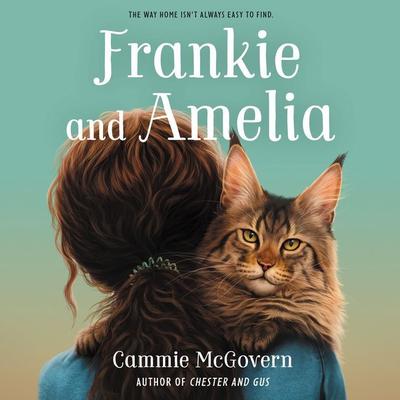Frankie and Amelia by Cammie McGovern audiobook