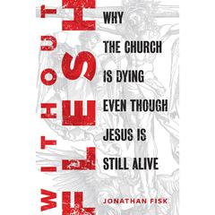 Without Flesh by Jonathan M. Fisk audiobook