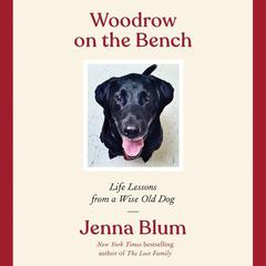 Woodrow on the Bench by Jenna Blum audiobook