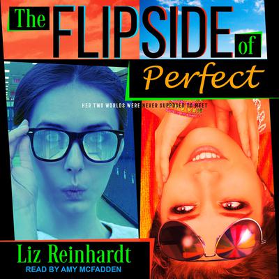The Flipside of Perfect by Liz Reinhardt audiobook