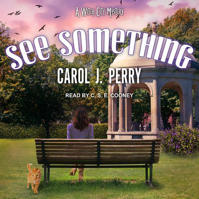 See Something by Carol J. Perry audiobook