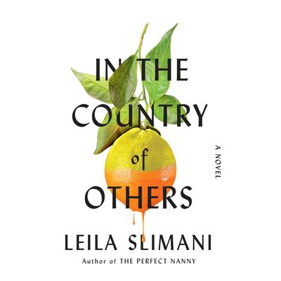 In the Country of Others by Leila Slimani audiobook