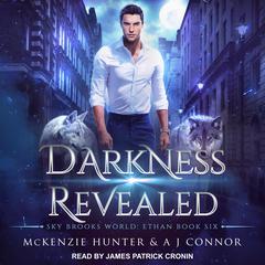 Darkness Revealed by McKenzie Hunter audiobook