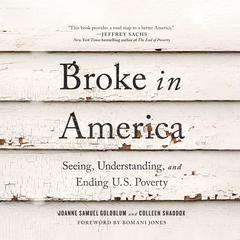 Broke in America by Joanne Samuel Goldblum audiobook