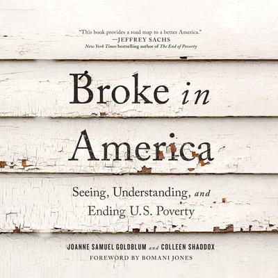 Broke in America by Joanne Samuel Goldblum audiobook