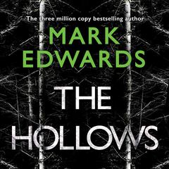 The Hollows by Mark Edwards audiobook