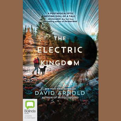 The Electric Kingdom by David Arnold audiobook