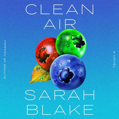Clean Air by Sarah Blake audiobook