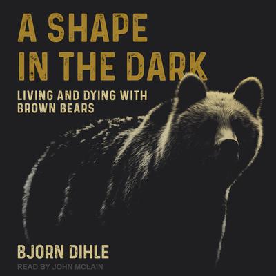 A Shape in the Dark by Bjorn Dihle audiobook
