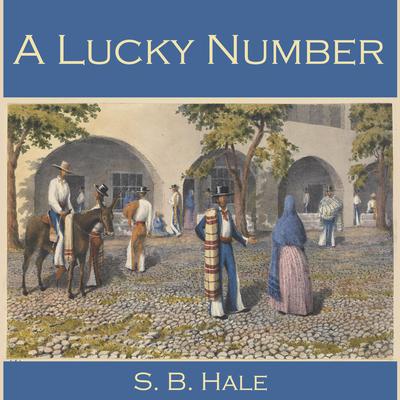 A Lucky Number by S. B. Hale audiobook