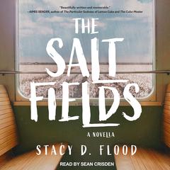 The Salt Fields by Stacy D. Flood audiobook