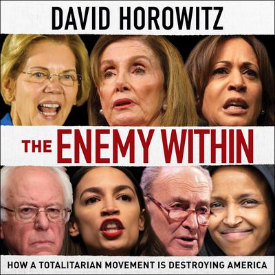 The Enemy Within by David Horowitz audiobook