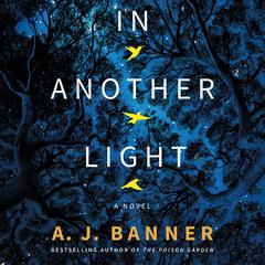 In Another Light by A. J. Banner audiobook