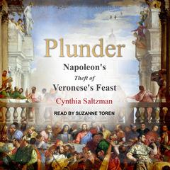 Plunder by Cynthia Saltzman audiobook