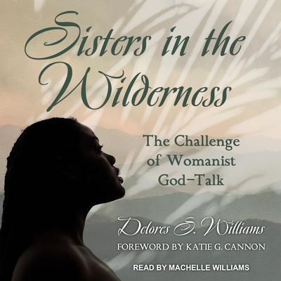 Sisters in the Wilderness by Delores S. Williams audiobook