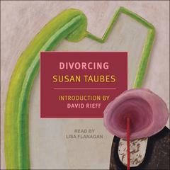 Divorcing by Susan Taubes audiobook