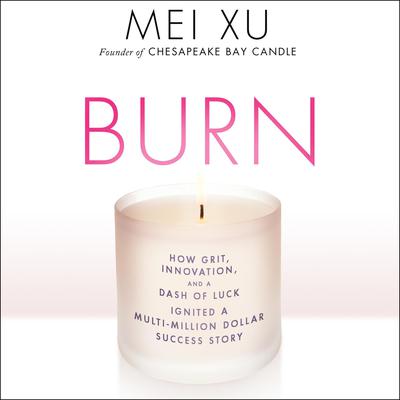 Burn by Mei Xu audiobook