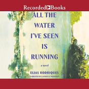 All the Water I've Seen Is Running by  Elias Rodriques audiobook