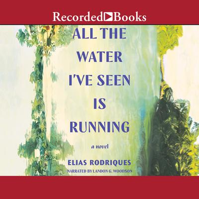 All the Water I've Seen Is Running by Elias Rodriques audiobook