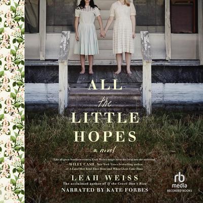 All the Little Hopes by Leah Weiss audiobook