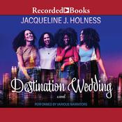 Destination Wedding by  Jacqueline J. Holness audiobook