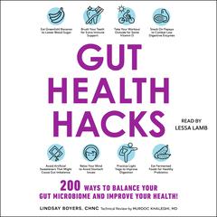 Gut Health Hacks by Lindsay Boyers audiobook