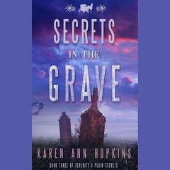 Secrets in the Grave by Karen Ann Hopkins audiobook