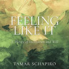 Feeling Like It by Tamar Schapiro audiobook