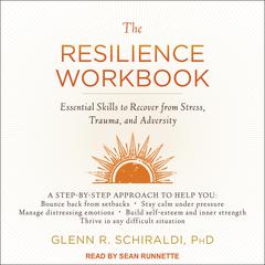 The Resilience Workbook by Glenn R. Schiraldi audiobook