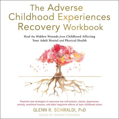 The Adverse Childhood Experiences Recovery Workbook by Glenn R. Schiraldi audiobook