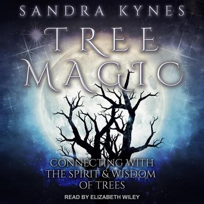 Tree Magic by Sandra Kynes audiobook